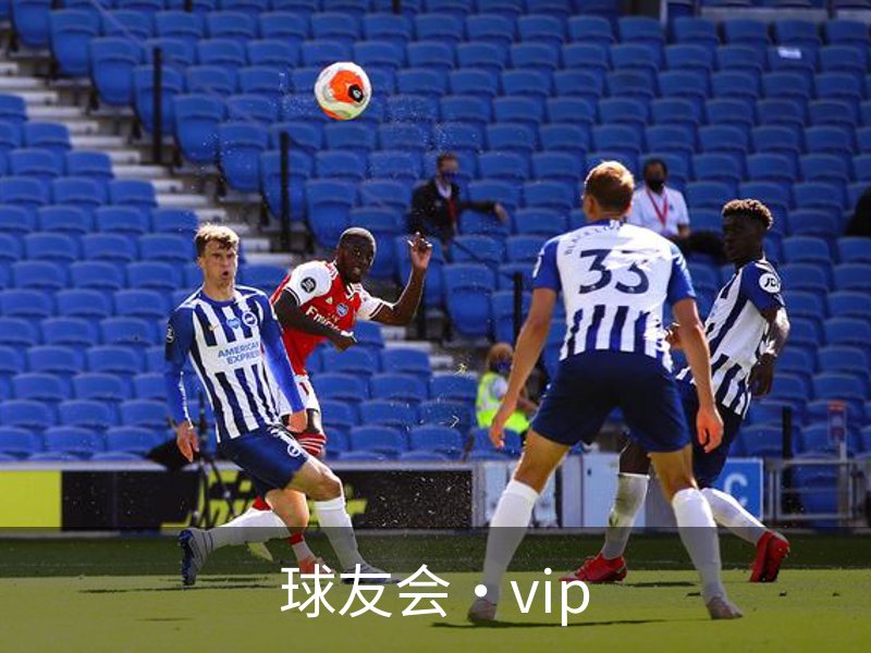 球友会·vip介绍